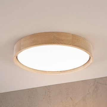 Brilagi - LED stropné svietidlo MANAROLA PLAIN LED/24W/230V 4000K pr. 41 cm dub