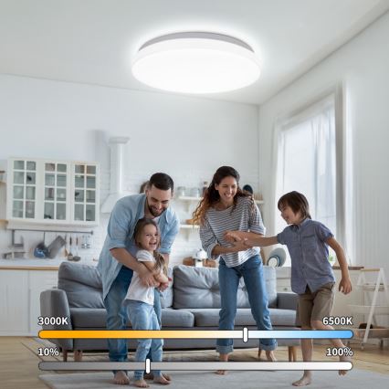 Brilagi - LED stropné svietidlo MILKY WAY LED/24W/230V 3000/4000/6500K priemer 38 cm