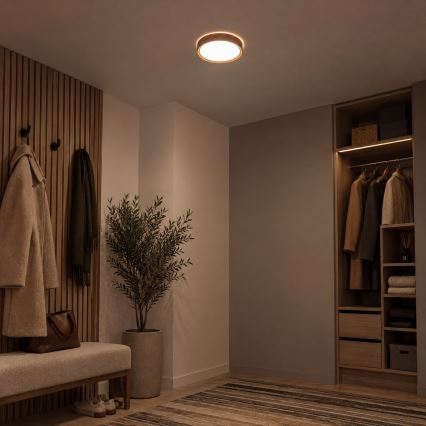BRILAGI - LED stropné svietidlo NATURA LED/12W/230V 4000K pr. 26,3 cm