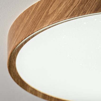 BRILAGI - LED stropné svietidlo NATURA LED/20W/230V 4000K priemer 33,7 cm