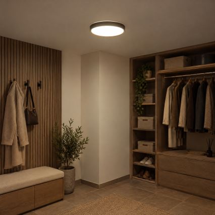 BRILAGI - LED stropné svietidlo NATURA LED/24W/230V 4000K priemer 38,3 cm