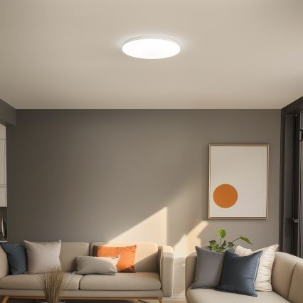 Brilagi - LED Stropné svietidlo OPAL LED/24W/230V