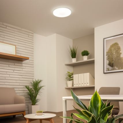 Brilagi - LED Stropné svietidlo OPAL LED/24W/230V