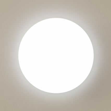 Brilagi - LED Stropné svietidlo OPAL LED/24W/230V