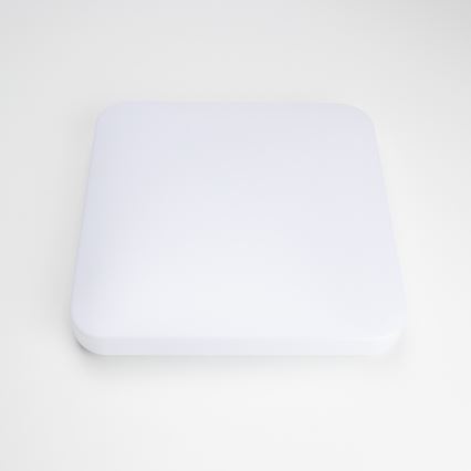 Brilagi - LED Stropné svietidlo OPAL LED/24W/230V