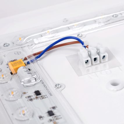 Brilagi - LED Stropné svietidlo PILANA LED/24W/230V dub/biela 32x32 cm