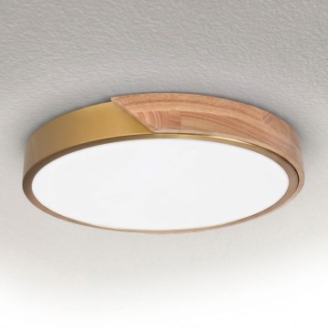 BRILAGI - LED Stropné svietidlo PILANA LED/24W/230V dub/zlatá pr. 30 cm