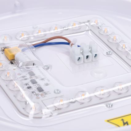 BRILAGI - LED Stropné svietidlo PILANA LED/24W/230V dub/zlatá pr. 30 cm