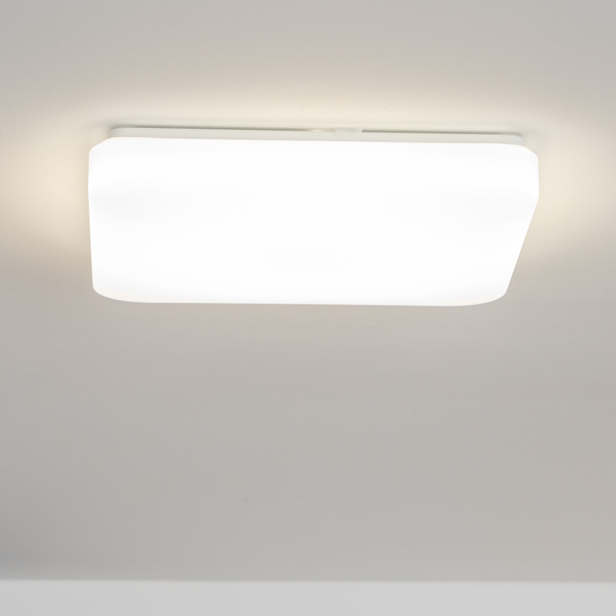 Brilagi - LED Stropné svietidlo PLAIN LED/24W/230V 3000K