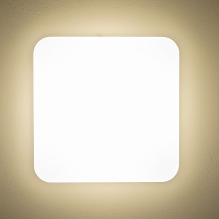 Brilagi - LED Stropné svietidlo PLAIN LED/24W/230V 3000K
