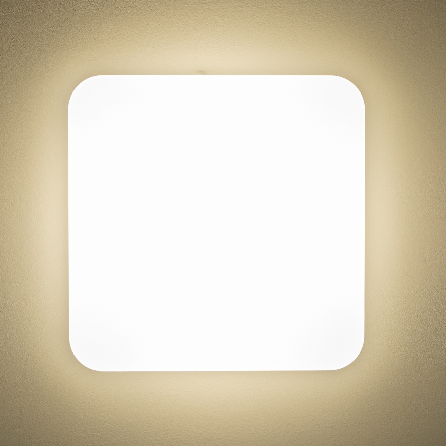 Brilagi - LED Stropné svietidlo PLAIN LED/24W/230V 3000K