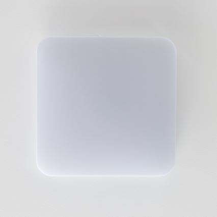 Brilagi - LED Stropné svietidlo PLAIN LED/24W/230V 3000K