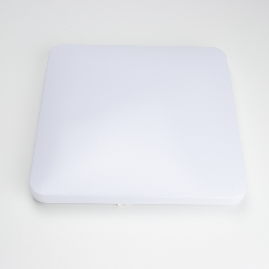 Brilagi - LED Stropné svietidlo PLAIN LED/24W/230V 3000K
