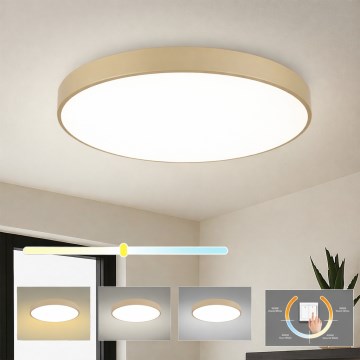 Brilagi - LED stropné svietidlo POOL LED/100W/230V 3000/4000/6000K pr. 80 cm béžové