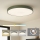 Brilagi - LED stropné svietidlo POOL LED/100W/230V 3000/4000/6000K pr. 80 cm zelené