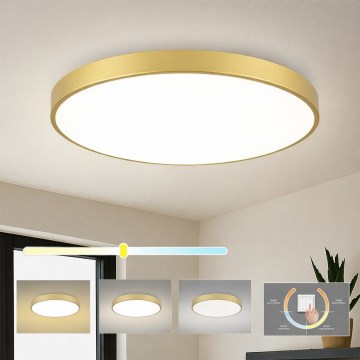 Brilagi - LED stropné svietidlo POOL LED/100W/230V 3000/4000/6000K pr. 80 cm zlaté