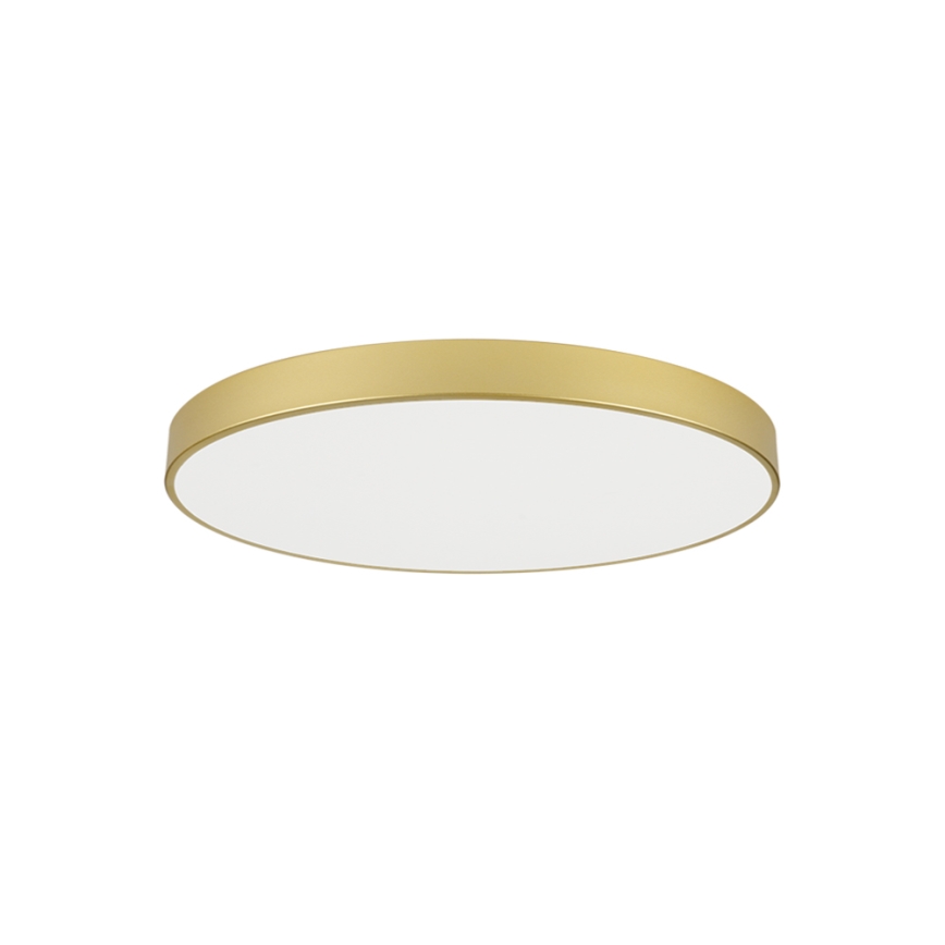 Brilagi - LED stropné svietidlo POOL LED/100W/230V 3000/4000/6000K pr. 80 cm zlaté