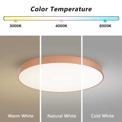 Brilagi - LED stropné svietidlo POOL, 100 W, 230 V, 3000/4000/6000 K (nastaviteľné), priemer 80 cm, bronzové
