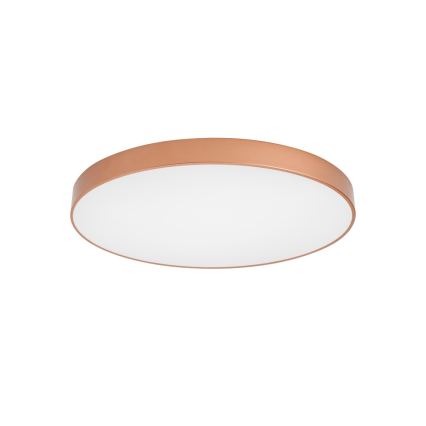 Brilagi - LED stropné svietidlo POOL, 100 W, 230 V, 3000/4000/6000 K (nastaviteľné), priemer 80 cm, bronzové