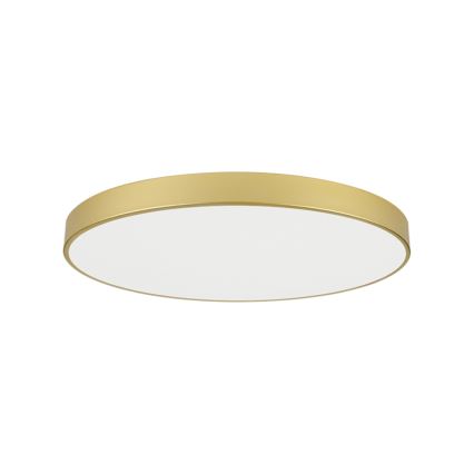 Brilagi - LED stropné svietidlo POOL LED/128W/230V 3000/4000/6000K pr. 100 cm zlaté