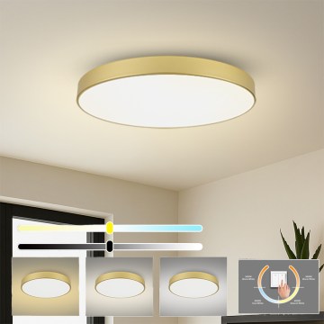 Brilagi - LED stropné svietidlo POOL LED/128W/230V 3000/4000/6000K pr. 100 cm zlaté