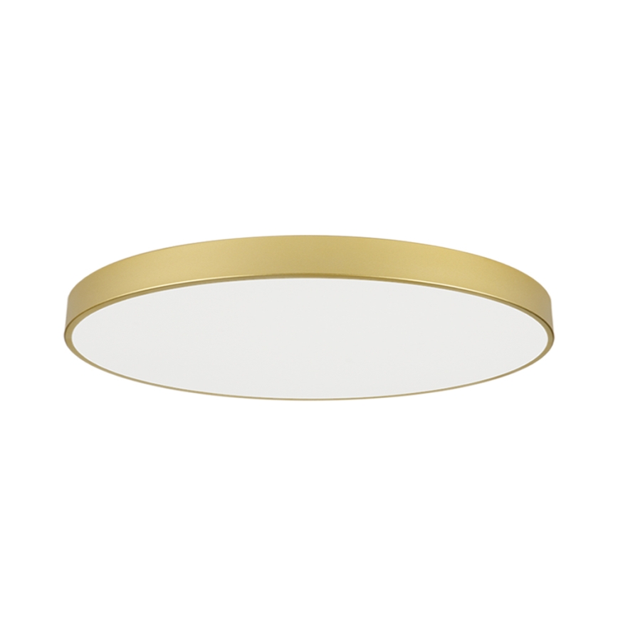 Brilagi - LED stropné svietidlo POOL LED/180W/230V 3000/4000/6000K priemer 120 cm zlaté