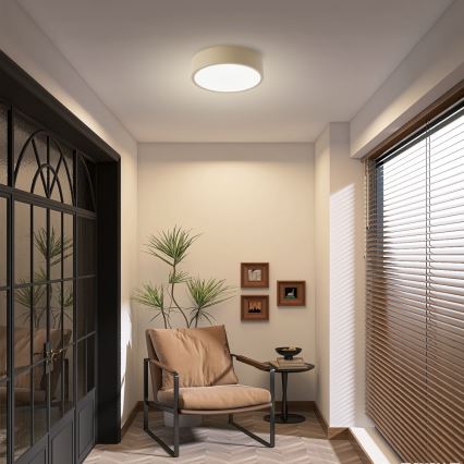 Brilagi - LED stropné svietidlo POOL LED/18W/230V 3000/4000/6000K pr. 20 cm béžové