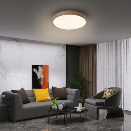 Brilagi - LED stropné svietidlo POOL LED/36W/230V 3000/4000/6000K pr. 30 cm hnedé