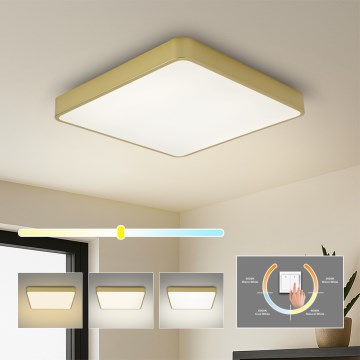 Brilagi - LED stropné svietidlo POOL LED/36W/230V 3000/4000/6000K 40x40 cm zlaté