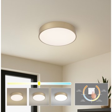 Brilagi - LED Stropné svietidlo POOL LED/36W/230V 3000/4000/6000K pr. 30 cm zlaté