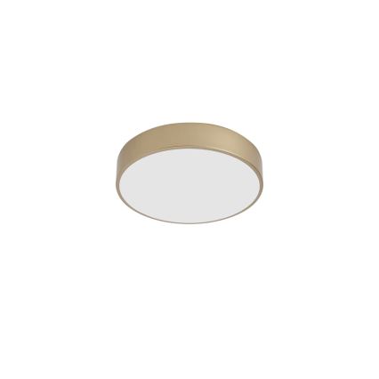 Brilagi - LED Stropné svietidlo POOL LED/36W/230V 3000/4000/6000K pr. 30 cm zlaté