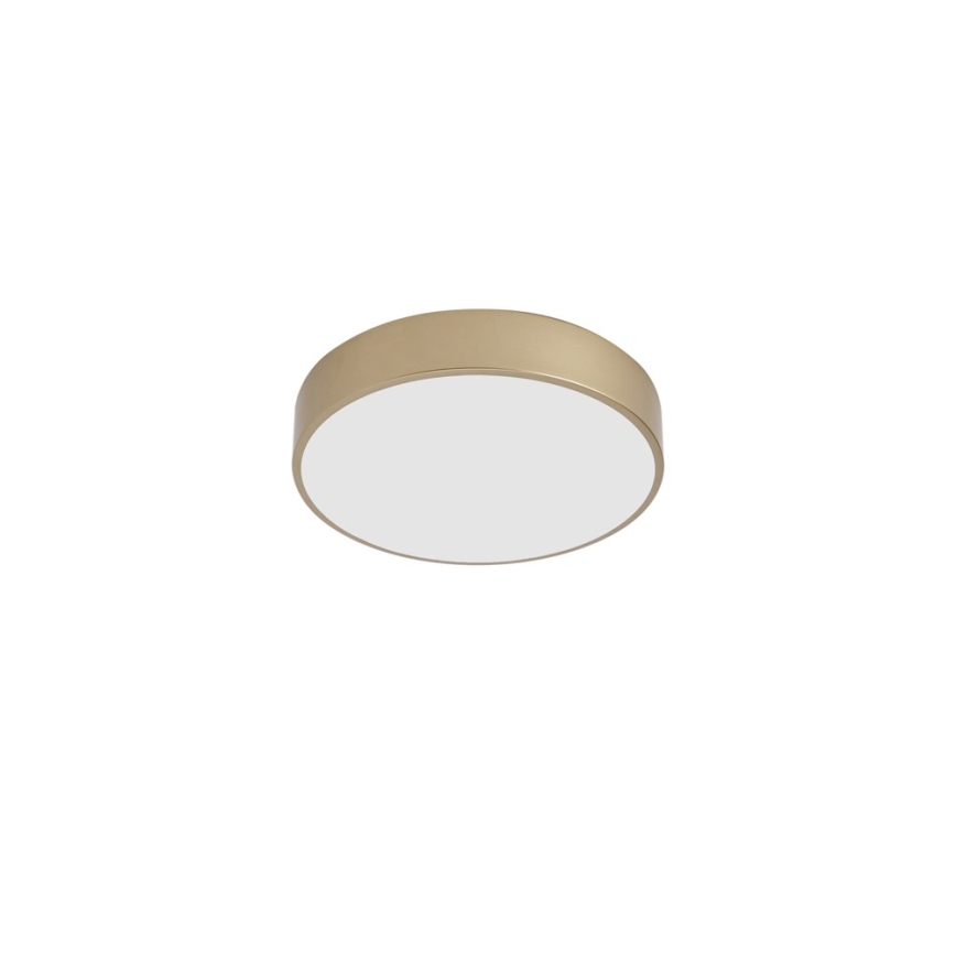 Brilagi - LED Stropné svietidlo POOL LED/36W/230V 3000/4000/6000K pr. 30 cm zlaté