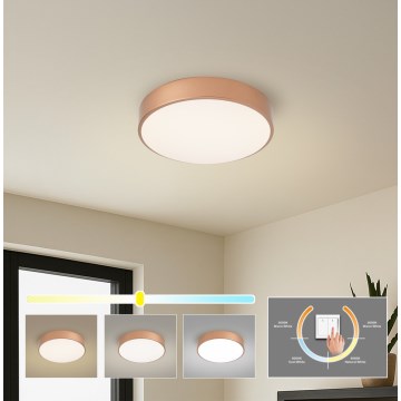 Brilagi - LED stropné svietidlo POOL LED/36W/230V 3000/4000/6000K priemer 30 cm bronzové