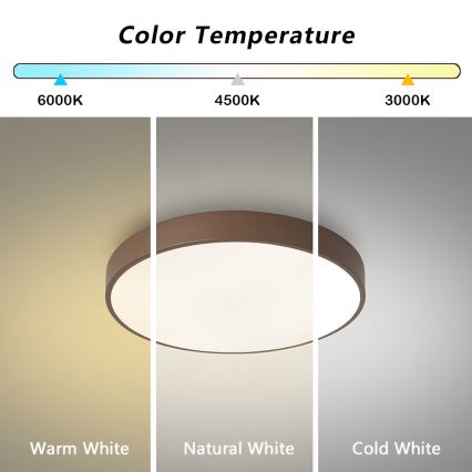 Brilagi - LED stropné svietidlo POOL LED/48W/230V 3000/4000/6000K priemer 40 cm hnedá