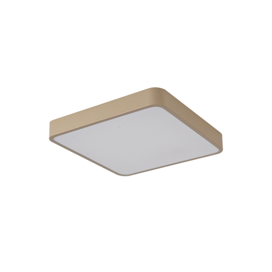 Brilagi - LED stropné svietidlo POOL LED/48W/230V 3000/4000/6000K 50x50 cm béžová