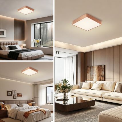 Brilagi - LED stropné svietidlo POOL LED/48W/230V 3000/4000/6000K 50x50 cm bronzové