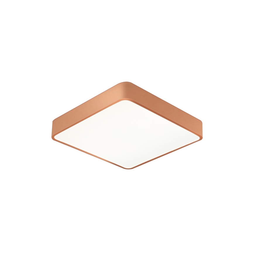 Brilagi - LED stropné svietidlo POOL LED/48W/230V 3000/4000/6000K 50x50 cm bronzové