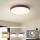 Brilagi - LED stropné svietidlo POOL LED/48W/230V 3000/4000/6000K pr. 40 cm bordové