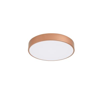 BRILAGI - LED stropné svietidlo POOL LED/48W/230V 3000/4000/6000K pr. 40 cm medená