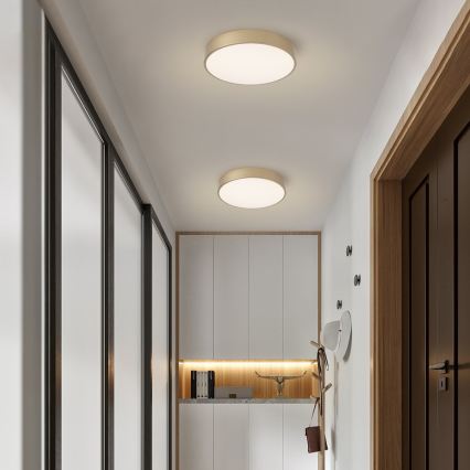 Brilagi - LED stropné svietidlo POOL LED/48W/230V 3000/4000/6000K priemer 40 cm zlatá