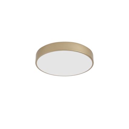 Brilagi - LED stropné svietidlo POOL LED/48W/230V 3000/4000/6000K priemer 40 cm zlatá