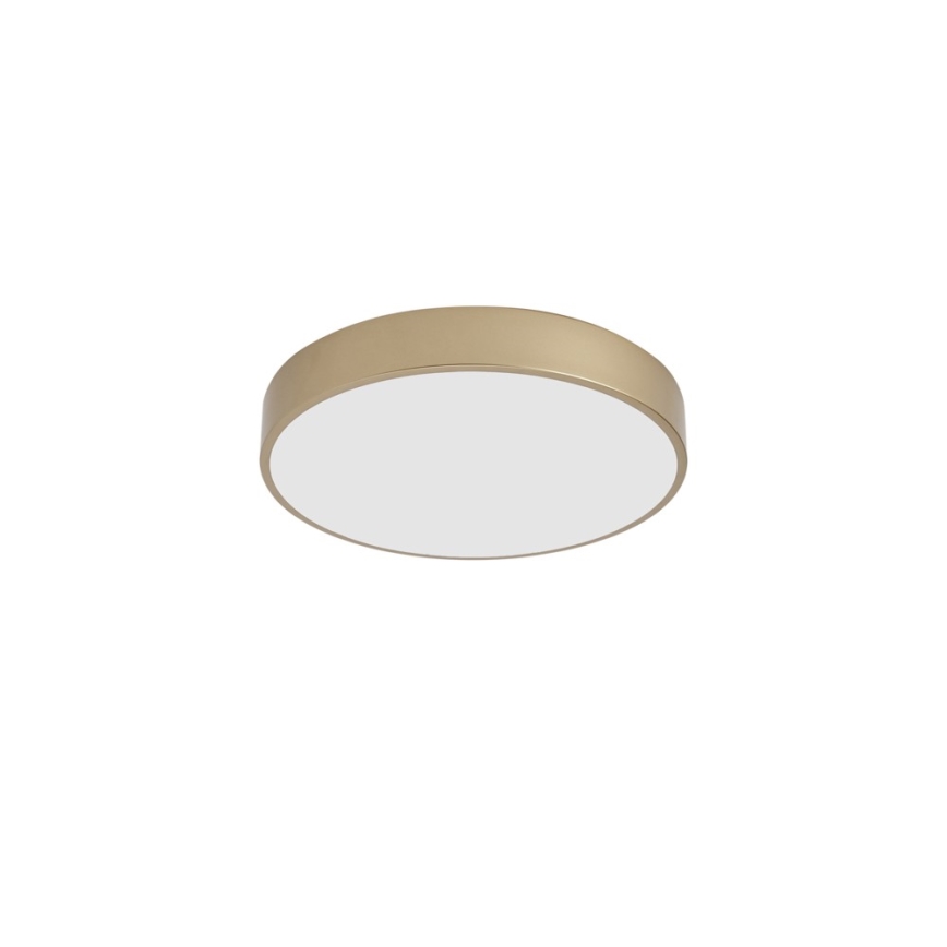 Brilagi - LED stropné svietidlo POOL LED/48W/230V 3000/4000/6000K priemer 40 cm zlatá