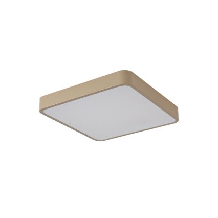 Brilagi - LED stropné svietidlo POOL LED/48W/230V 3000/4500/6000K 50x50 cm béžová
