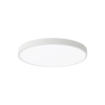 Brilagi - LED Stropné svietidlo POOL LED/60W/230V 3000/4000/6000K 50 cm biela