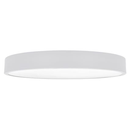 Brilagi - LED Stropné svietidlo POOL LED/60W/230V 3000/4000/6000K 50 cm biela