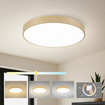 Brilagi - LED stropné svietidlo POOL LED/60W/230V 3000/4000/6000K pr. 60 cm béžové