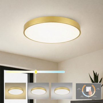 Brilagi - LED stropné svietidlo POOL LED/60W/230V 3000/4000/6000K pr. 60 cm zlaté