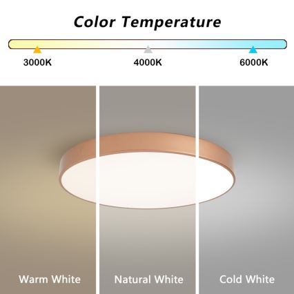 Brilagi - LED stropné svietidlo POOL LED/60W/230V 3000/4000/6000K pr. 60 cm bronzové