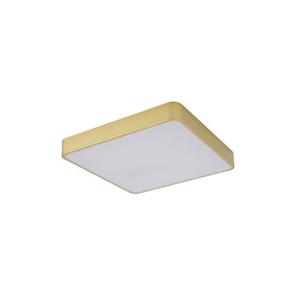 BRILAGI - LED stropné svietidlo POOL SQUARE LED/36W/230V 3000/4000/6000K 40x40 cm zlaté
