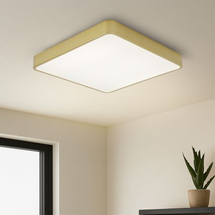 Brilagi - LED stropné svietidlo POOL SQUARE LED/48W/230V 3000/4000/6000K 50x50 cm zlaté